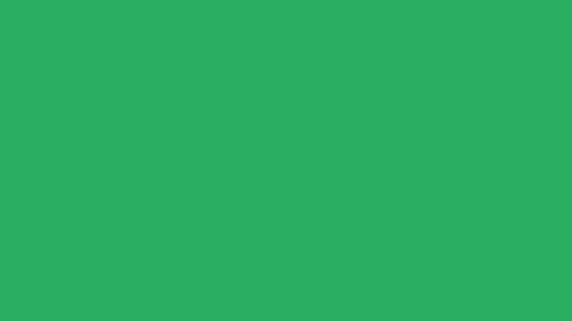 wonster_rand_010 green